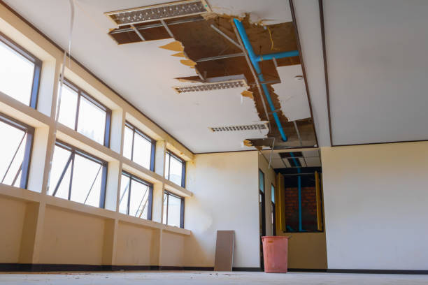 Best Water damage cleanup near me  in Magee, MS