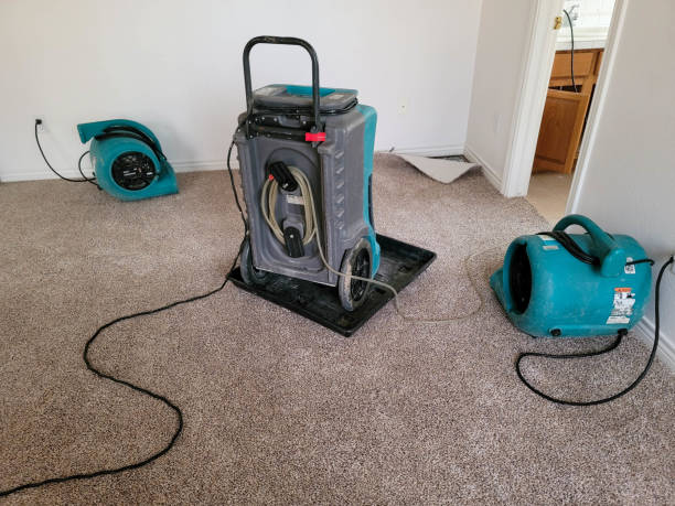 Local water damage restoration in MS