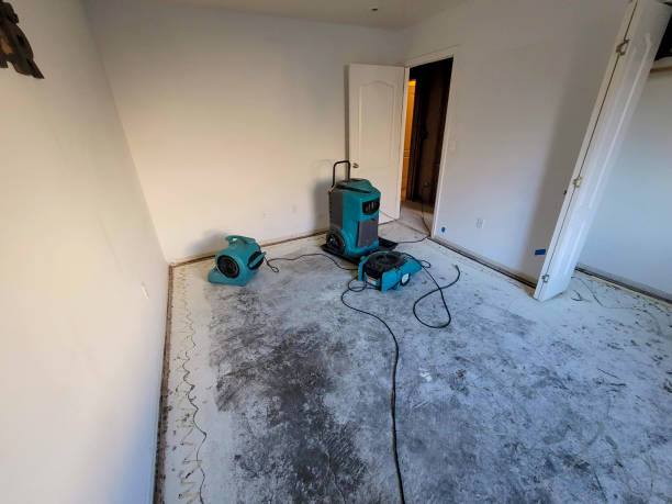 Best Water damage mitigation services  in Magee, MS
