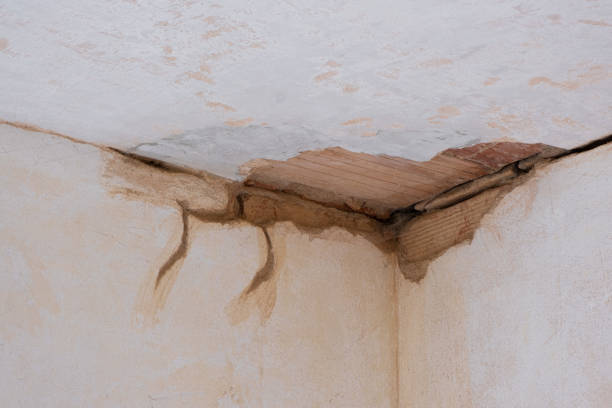 Best Flood restoration services  in Magee, MS