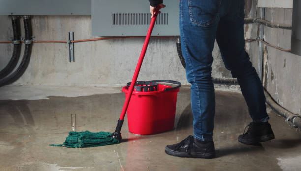  Magee, MS Water damage restoration Pros