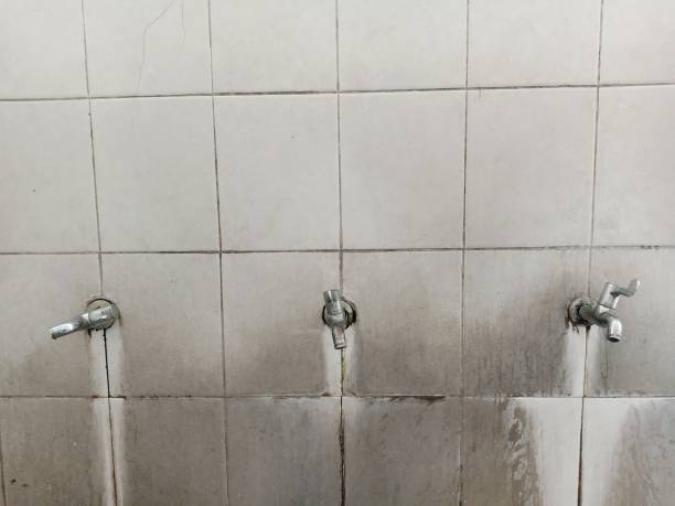 Water damage restoration mold remediation in MS