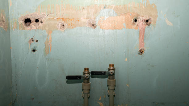 Best Water damage contractors near me  in Magee, MS