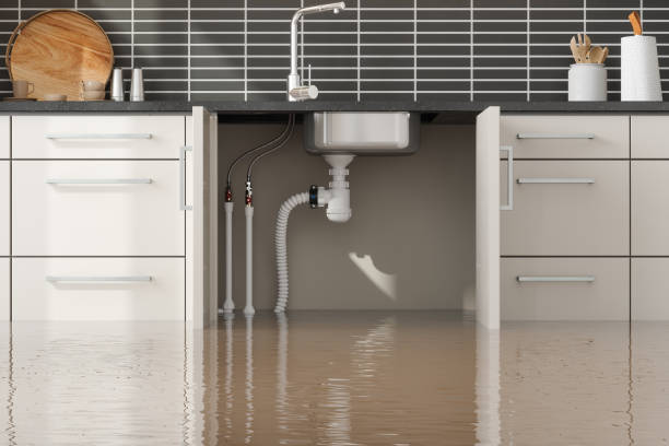 Best Emergency water damage restoration  in Magee, MS