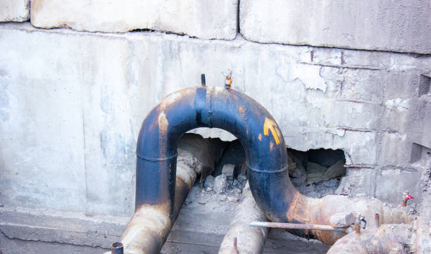 Best Carpet water damage restoration  in Magee, MS