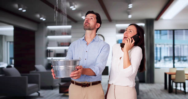 Best Water damage restoration insurance claims  in Magee, MS