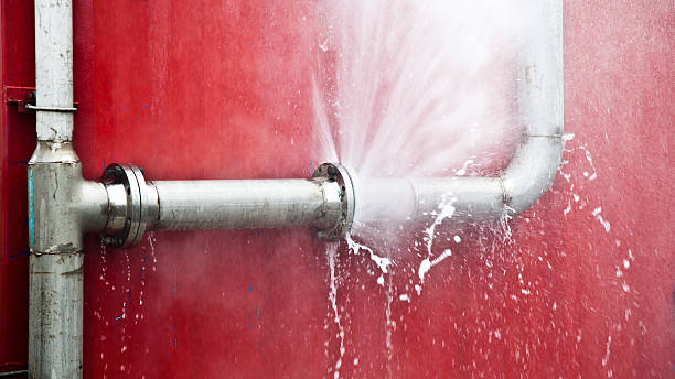 Best Water damage restoration near me  in Magee, MS